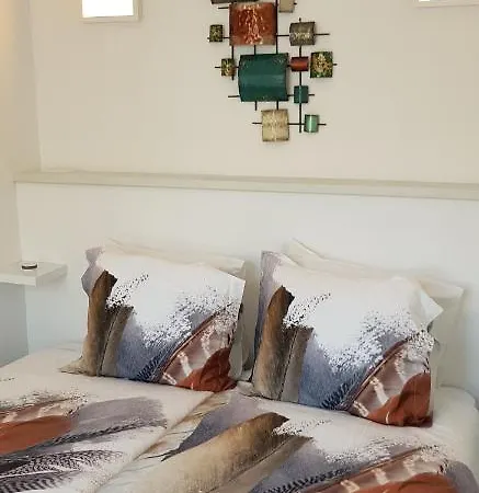 公寓 In Den Visser