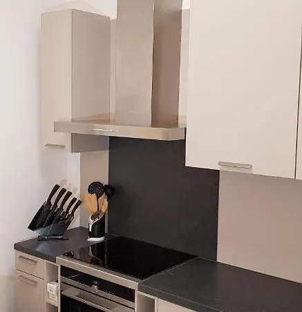 In Den Visser * 多德雷赫特