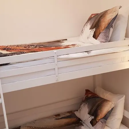 公寓 In Den Visser *