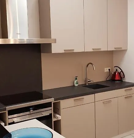 In Den Visser * 多德雷赫特