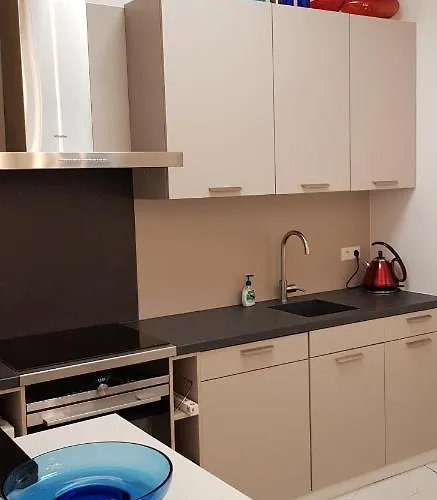 In Den Visser * ドルドレヒト